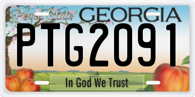 GA license plate PTG2091
