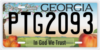 GA license plate PTG2093