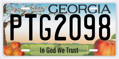 GA license plate PTG2098