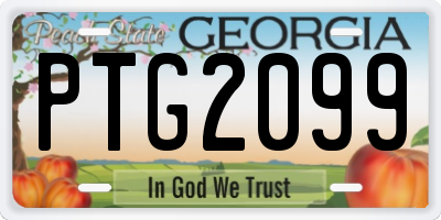 GA license plate PTG2099