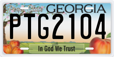 GA license plate PTG2104
