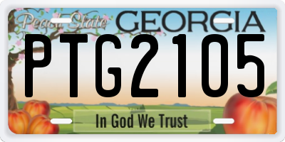 GA license plate PTG2105