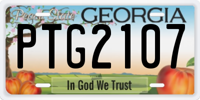 GA license plate PTG2107