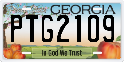 GA license plate PTG2109