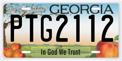 GA license plate PTG2112