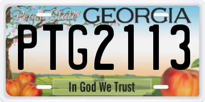 GA license plate PTG2113