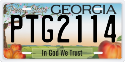 GA license plate PTG2114