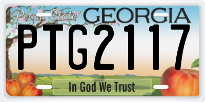 GA license plate PTG2117