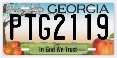 GA license plate PTG2119
