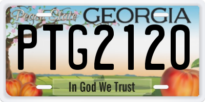 GA license plate PTG2120