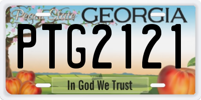 GA license plate PTG2121