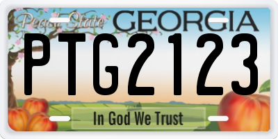 GA license plate PTG2123