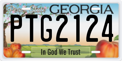 GA license plate PTG2124