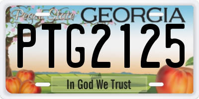 GA license plate PTG2125