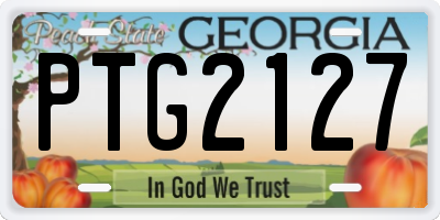 GA license plate PTG2127
