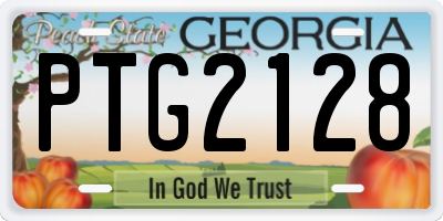 GA license plate PTG2128