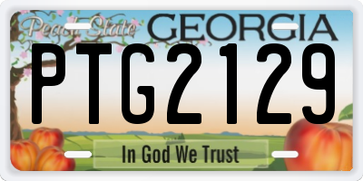 GA license plate PTG2129