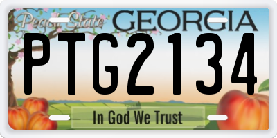 GA license plate PTG2134