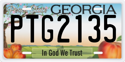 GA license plate PTG2135