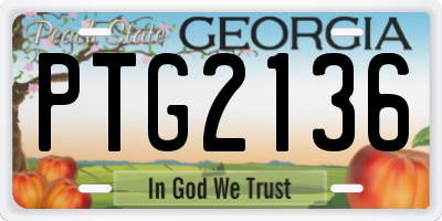 GA license plate PTG2136