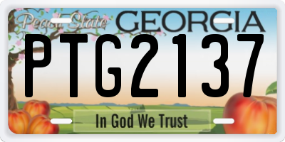 GA license plate PTG2137
