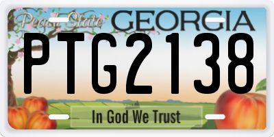GA license plate PTG2138