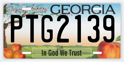 GA license plate PTG2139