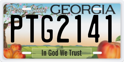 GA license plate PTG2141