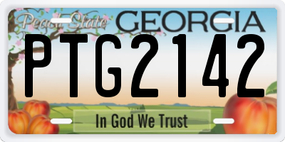 GA license plate PTG2142
