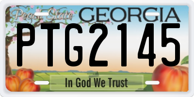 GA license plate PTG2145