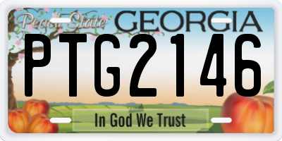 GA license plate PTG2146