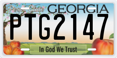 GA license plate PTG2147
