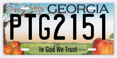 GA license plate PTG2151