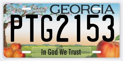 GA license plate PTG2153