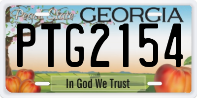 GA license plate PTG2154