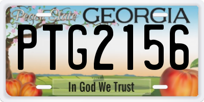 GA license plate PTG2156