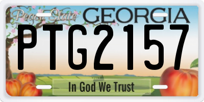 GA license plate PTG2157