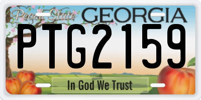 GA license plate PTG2159