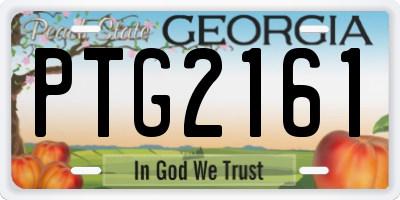 GA license plate PTG2161