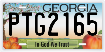 GA license plate PTG2165