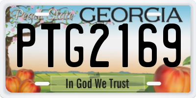 GA license plate PTG2169