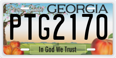 GA license plate PTG2170