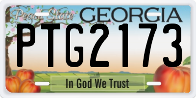 GA license plate PTG2173