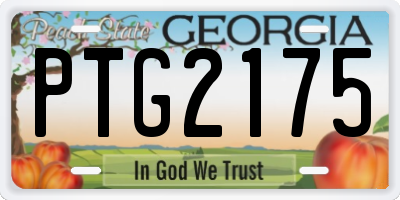 GA license plate PTG2175