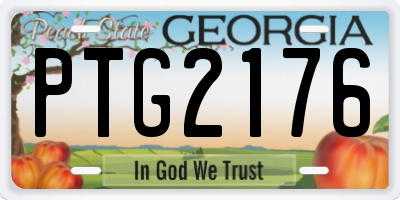 GA license plate PTG2176