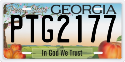 GA license plate PTG2177