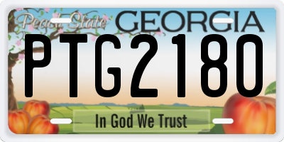 GA license plate PTG2180
