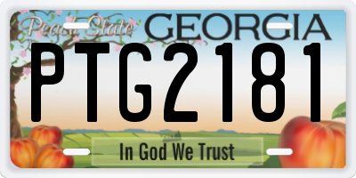 GA license plate PTG2181
