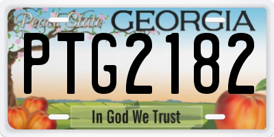 GA license plate PTG2182