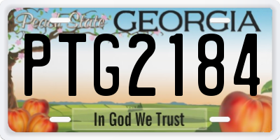 GA license plate PTG2184